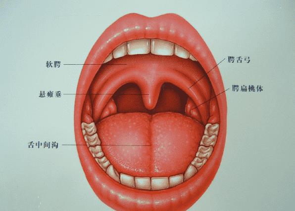 慢性咽炎打嗝嗎 慢性咽炎會發(fā)燒嗎