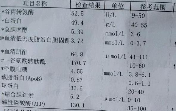 谷丙轉氨酶60-70嚴重嗎 谷丙轉氨酶指標多少正常