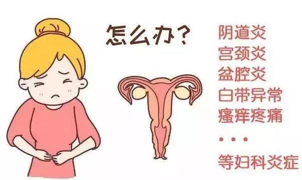 宮頸炎不能吃什么 宮頸炎可以吃三七粉嗎